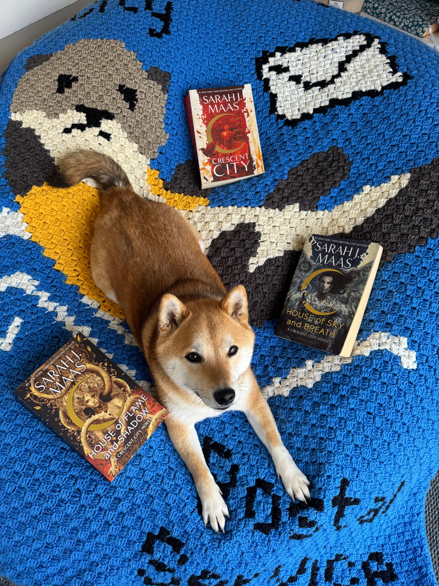 Crescent City Postal Service Otter C2C Crochet Pattern