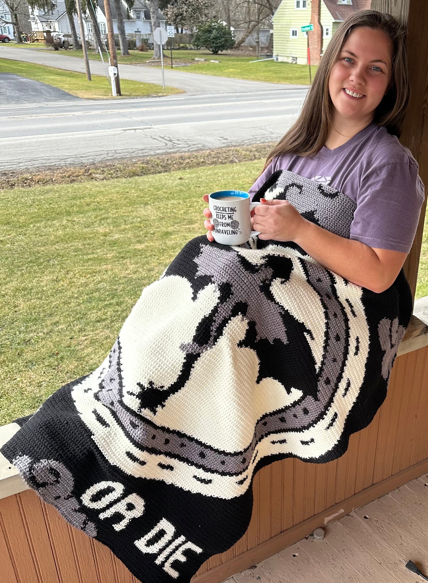 Fly or Die Tapestry Crochet Graphghan Pattern