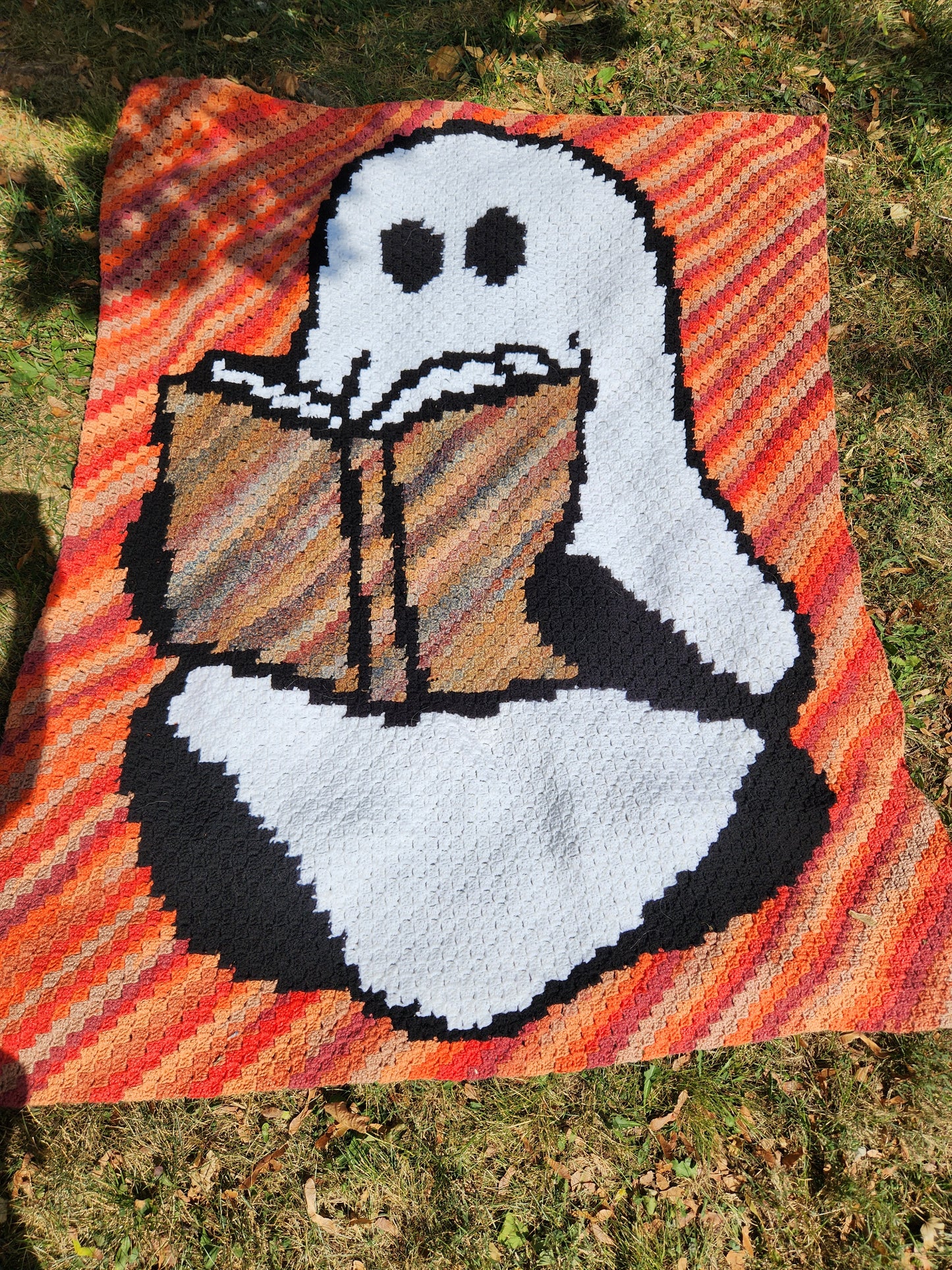Reading Ghost C2C Crochet Graphghan Pattern