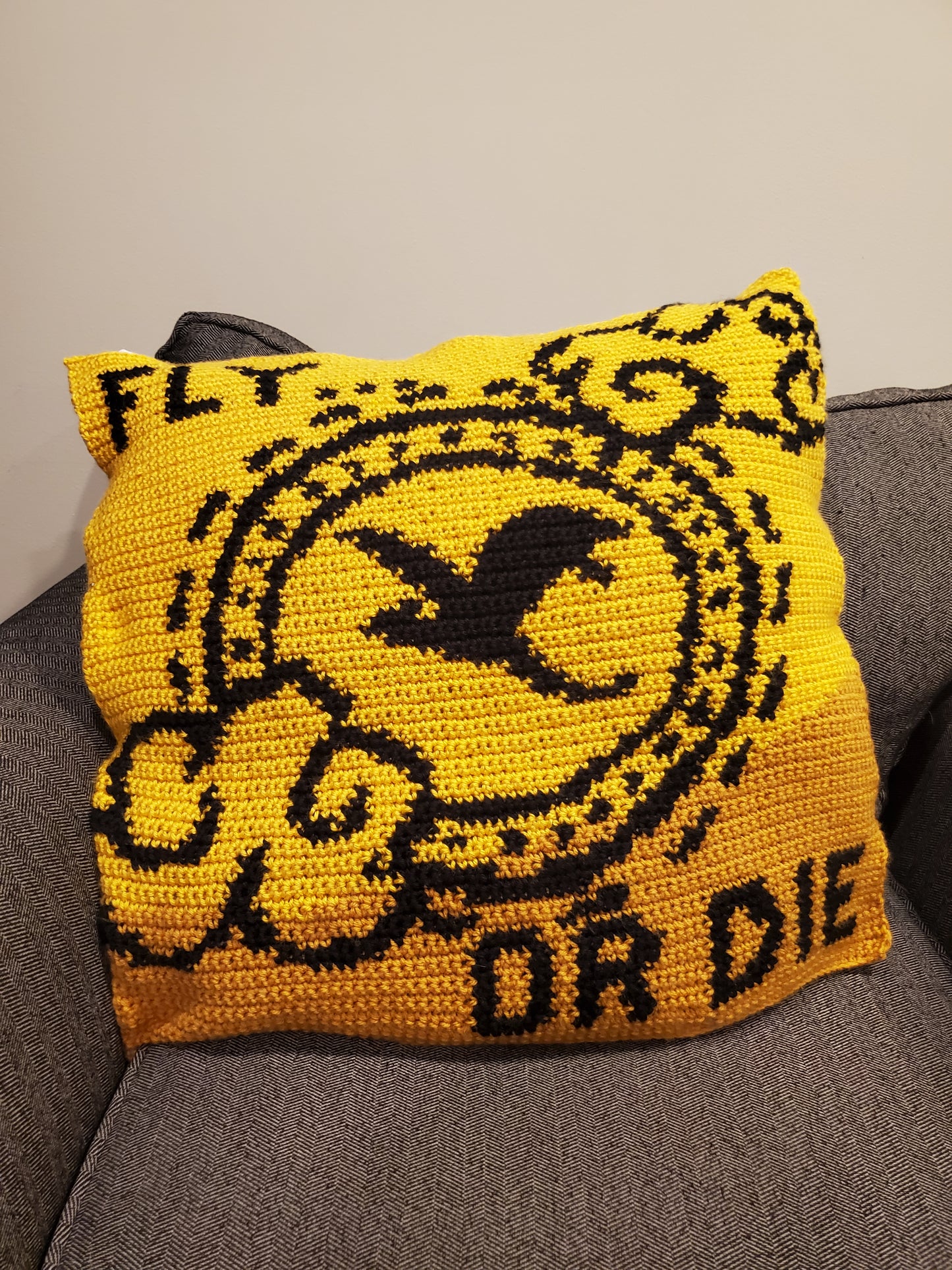 Fourth Wing Tapestry Crochet Pillow Patterns