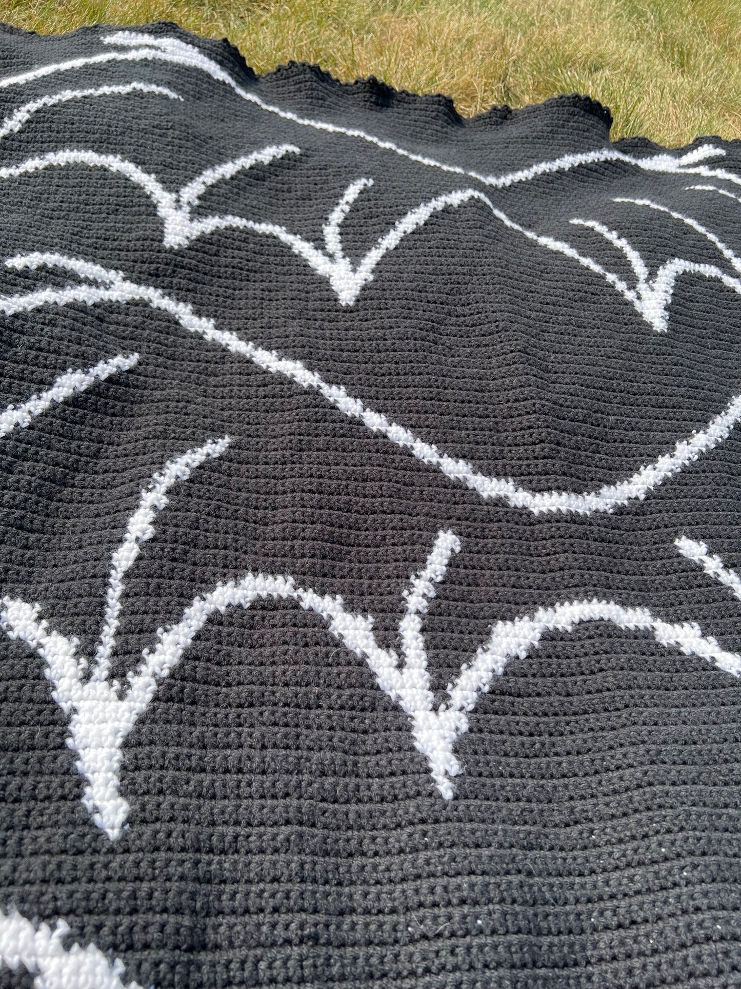Bat Boy Wings Crochet Graphghan Pattern