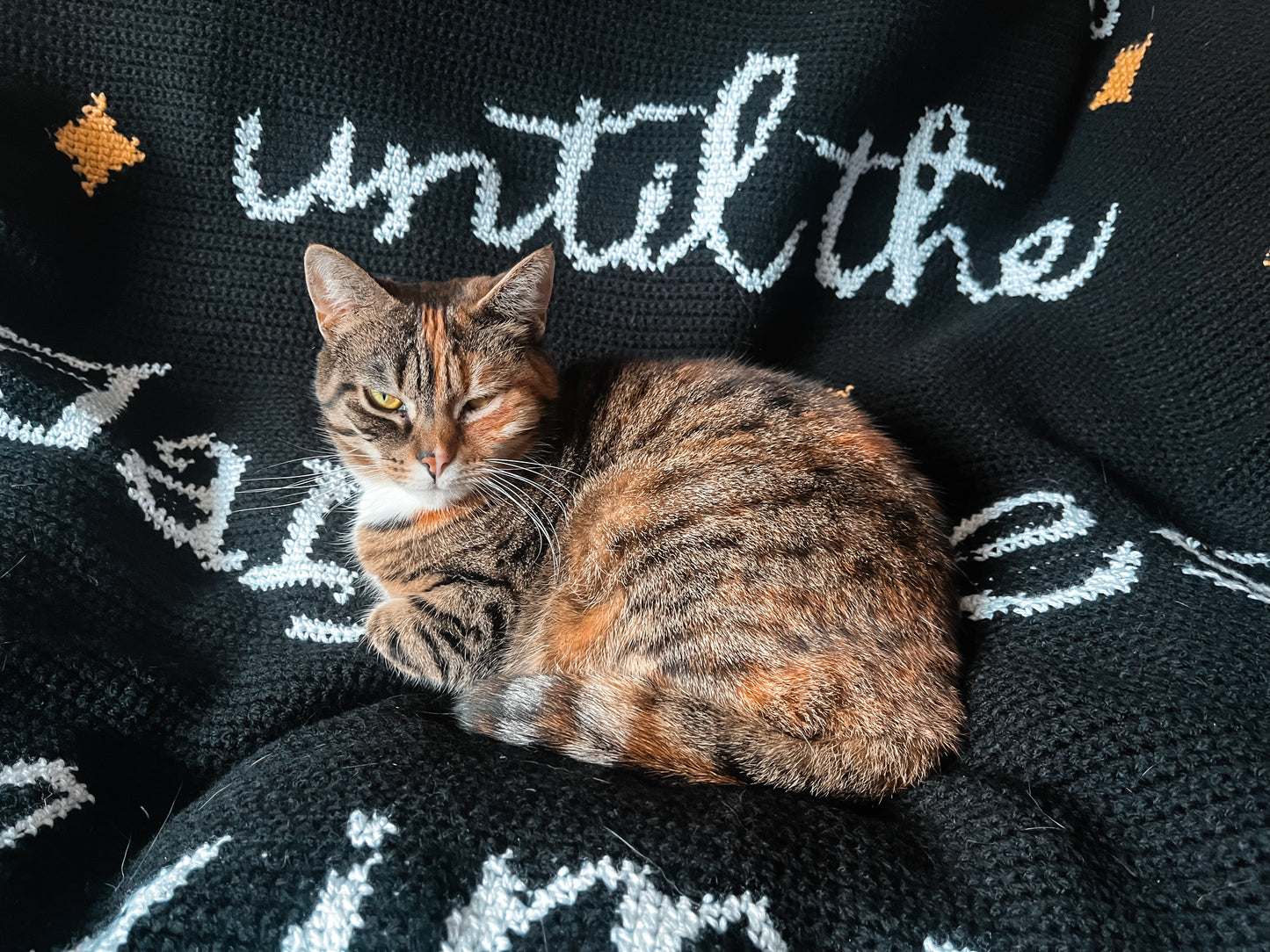 Until The Darkness Claims Us Tapestry Crochet Graphghan Pattern