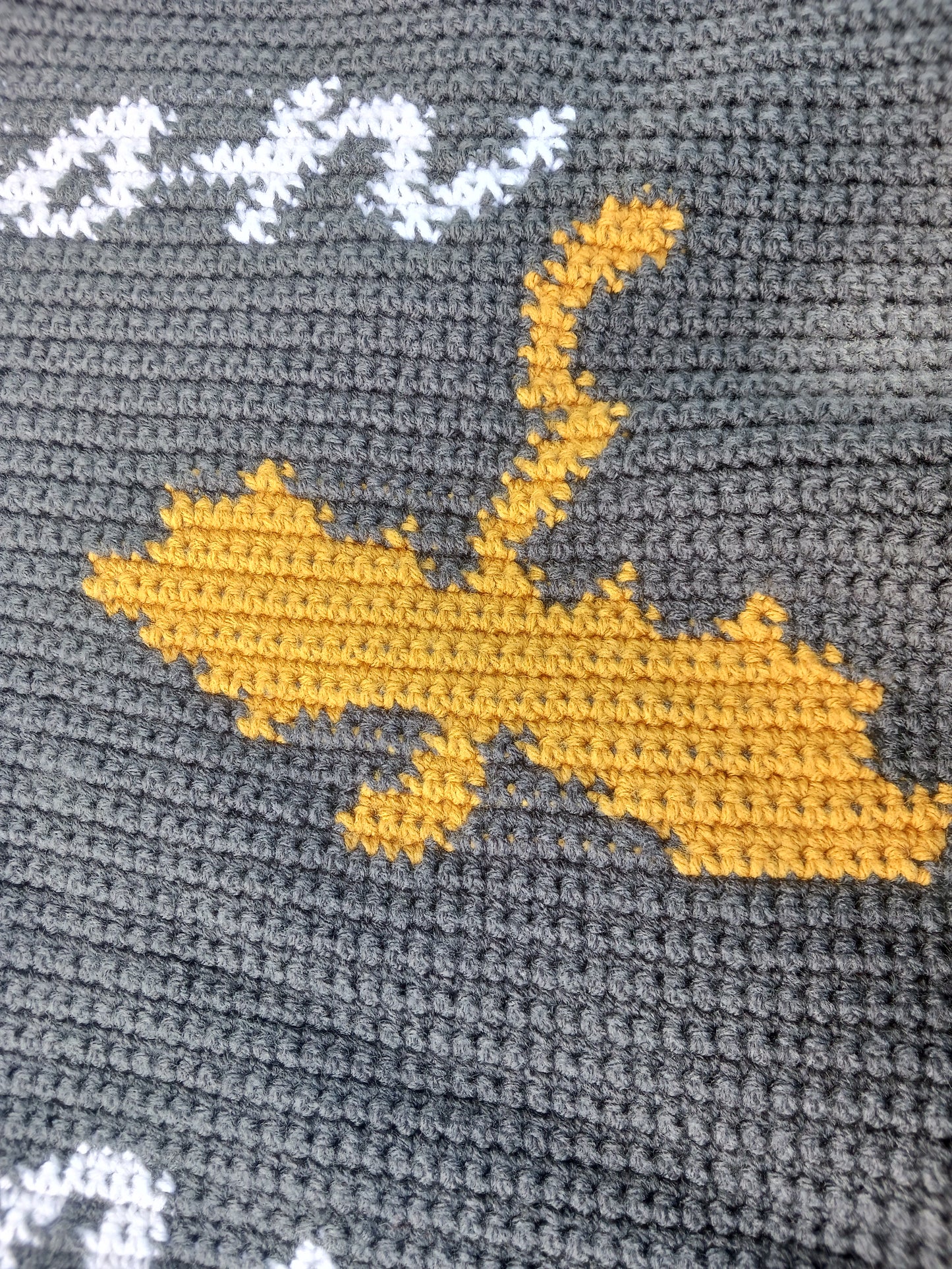 Dragon Rider Quote Tapestry Crochet Graphghan Pattern