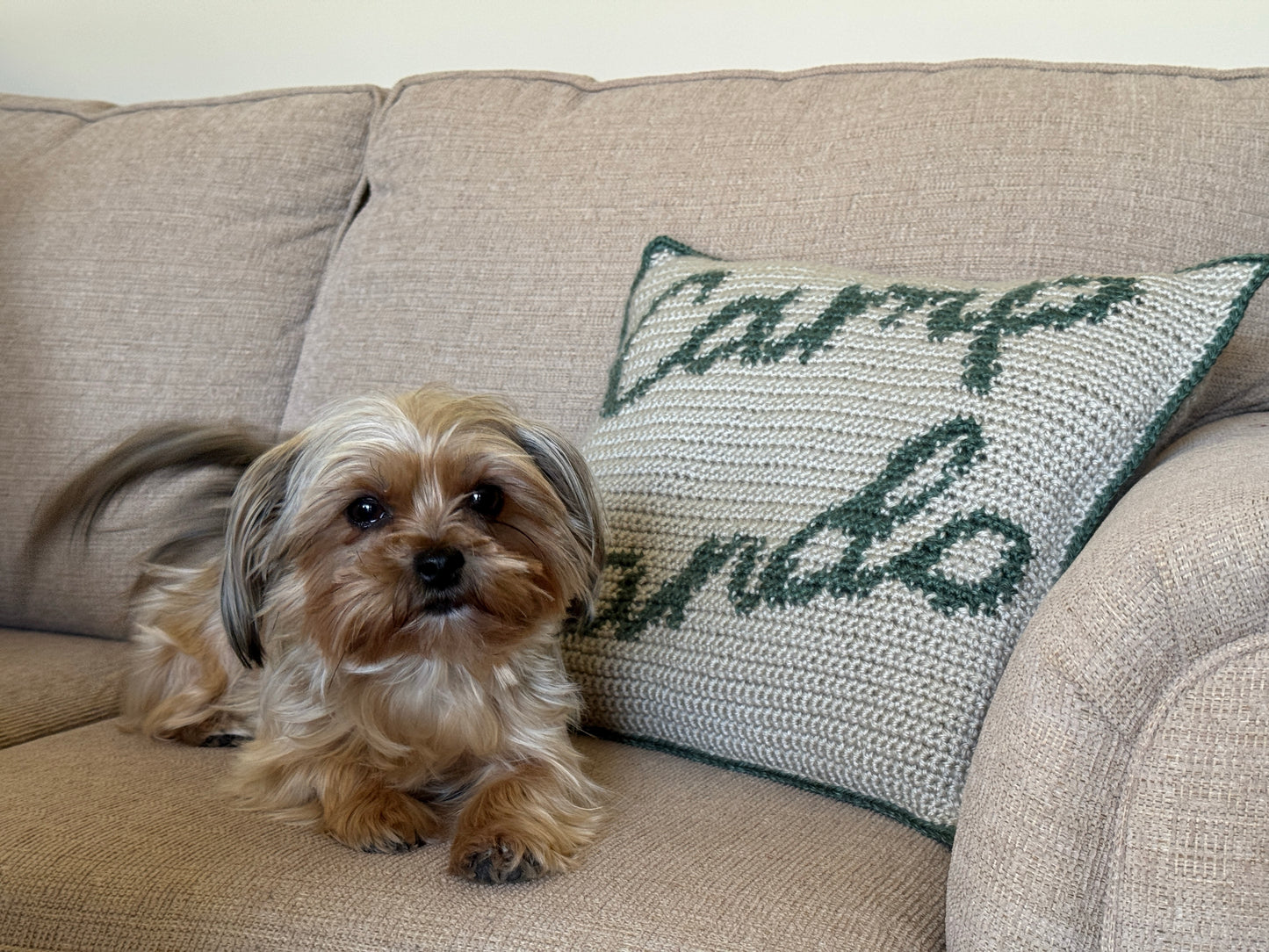 Camp Cando Tapestry Crochet Pillow Pattern