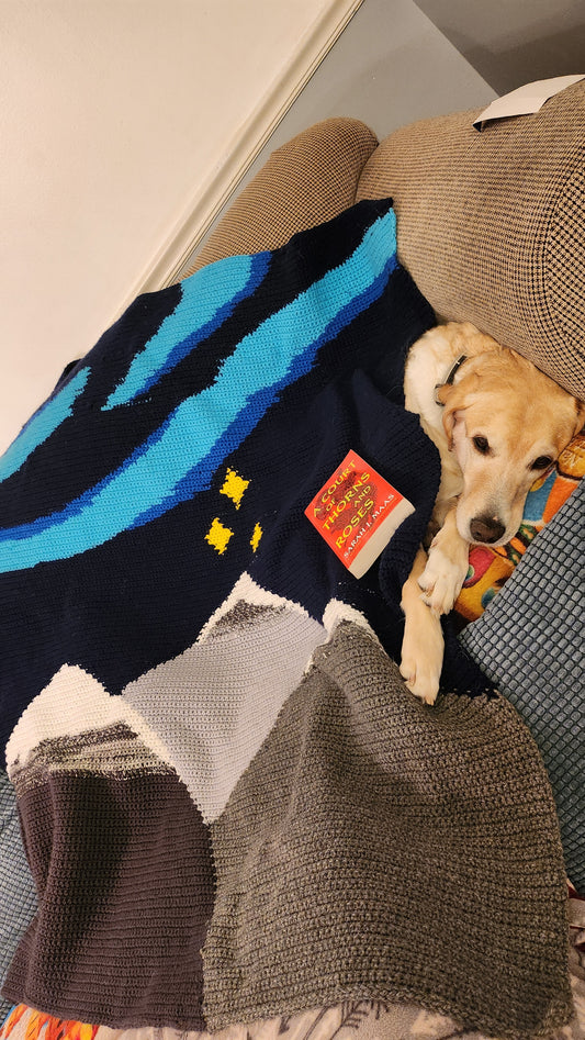 Starfall Tapestry Crochet Graphghan Pattern