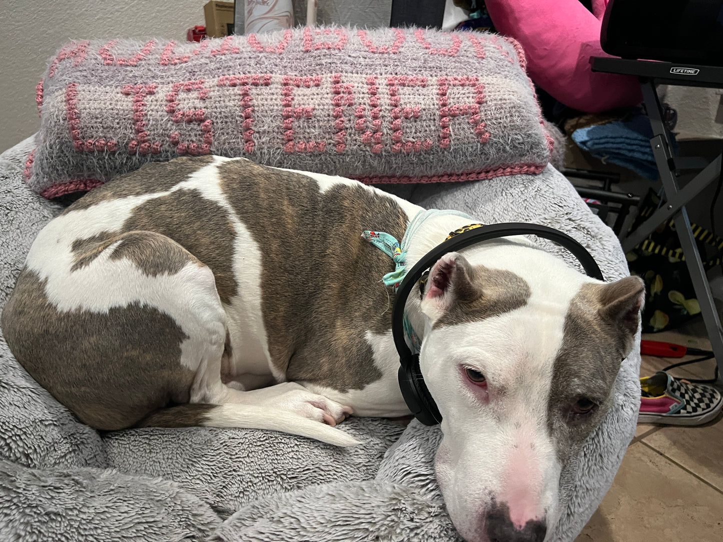 Audiobook Listener Bobble Crochet Pillow Pattern