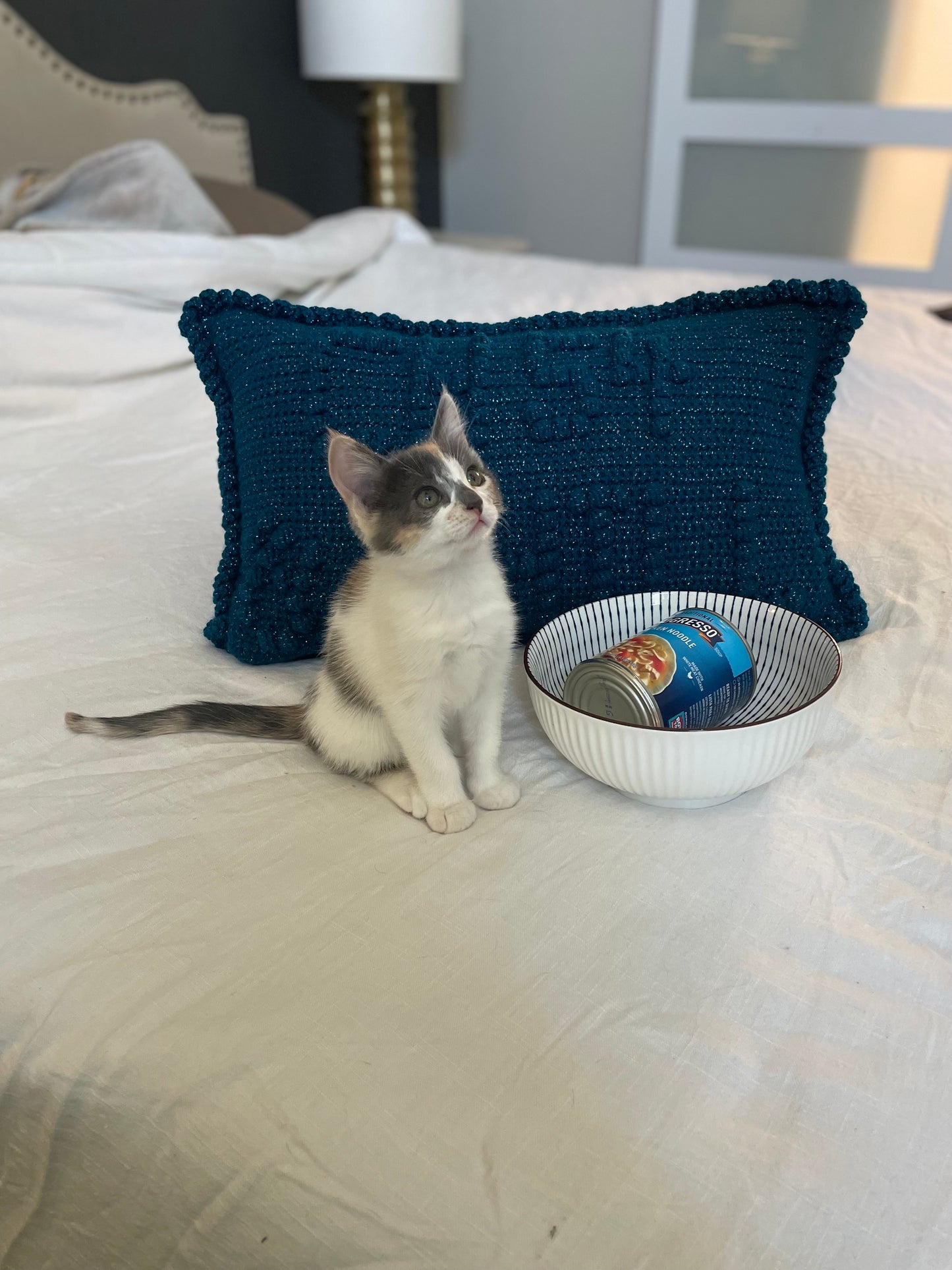 Ch 54/55 & Chill Bobble Crochet Pillow Pattern