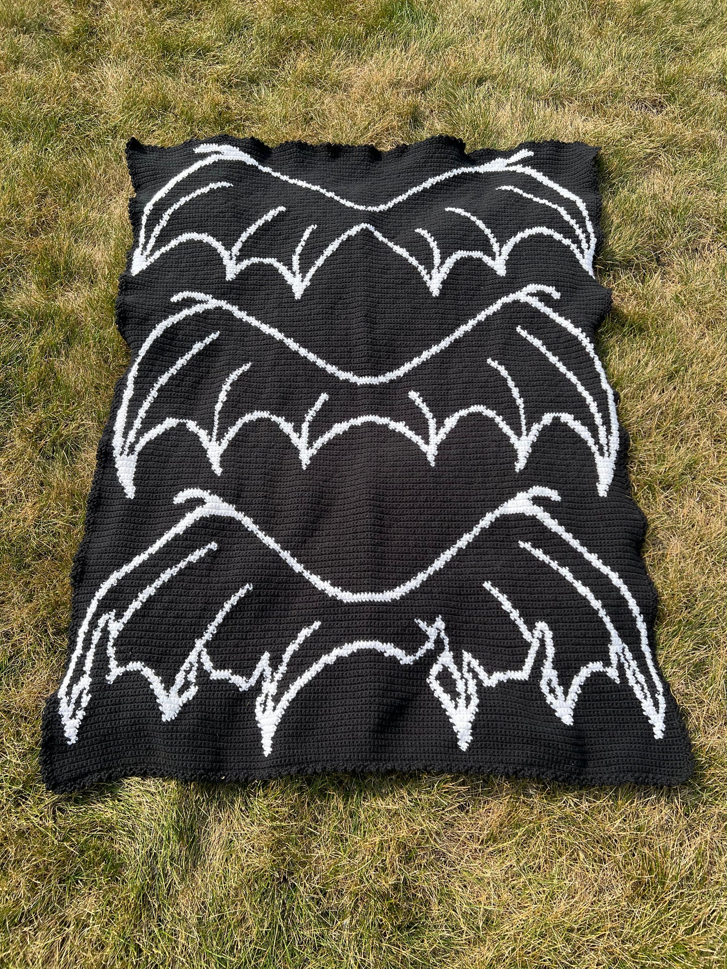 Bat Boy Wings Crochet Graphghan Pattern