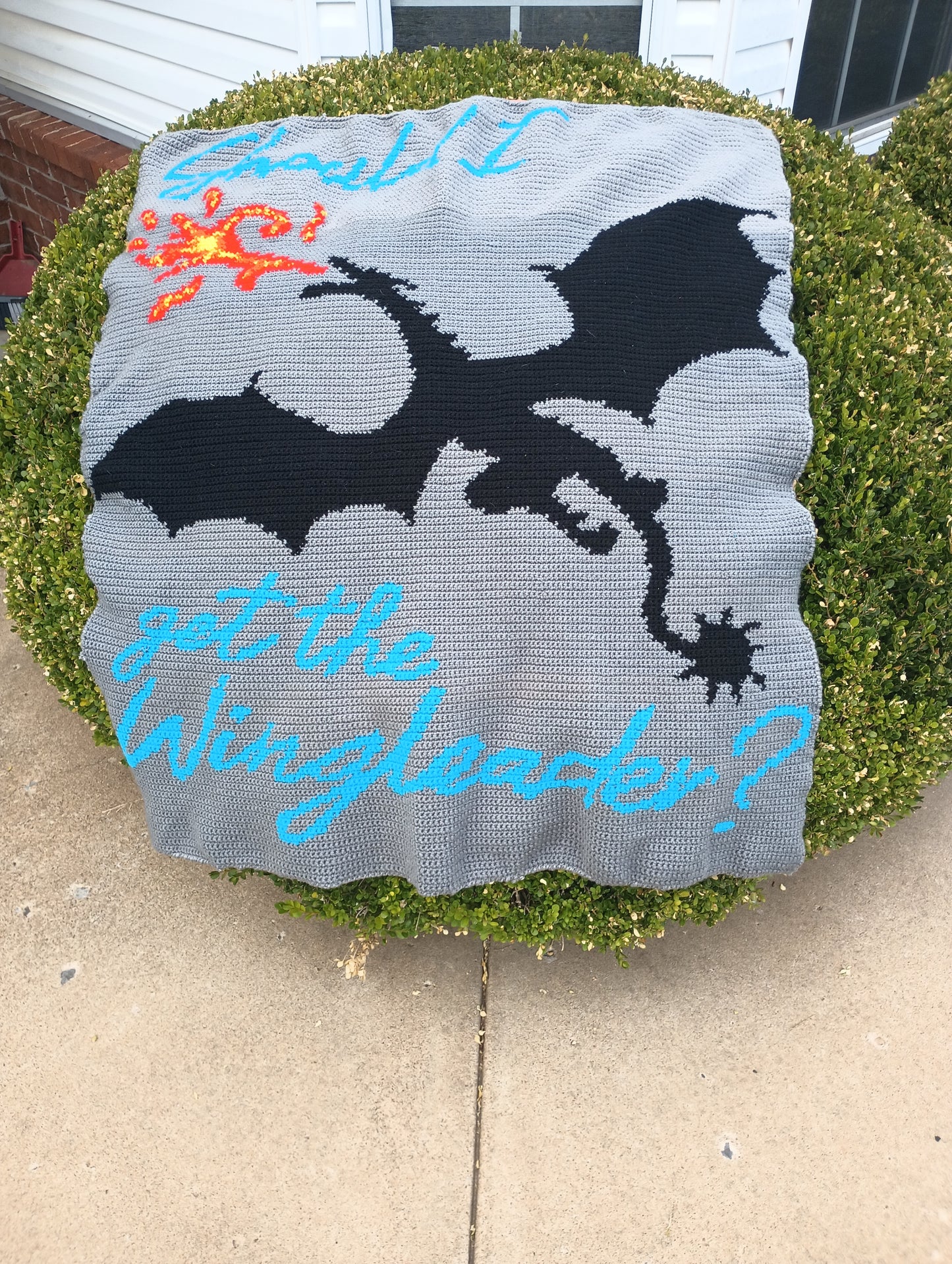 Should I Get The Wingleader? Tapestry Crochet Graphghan Pattern
