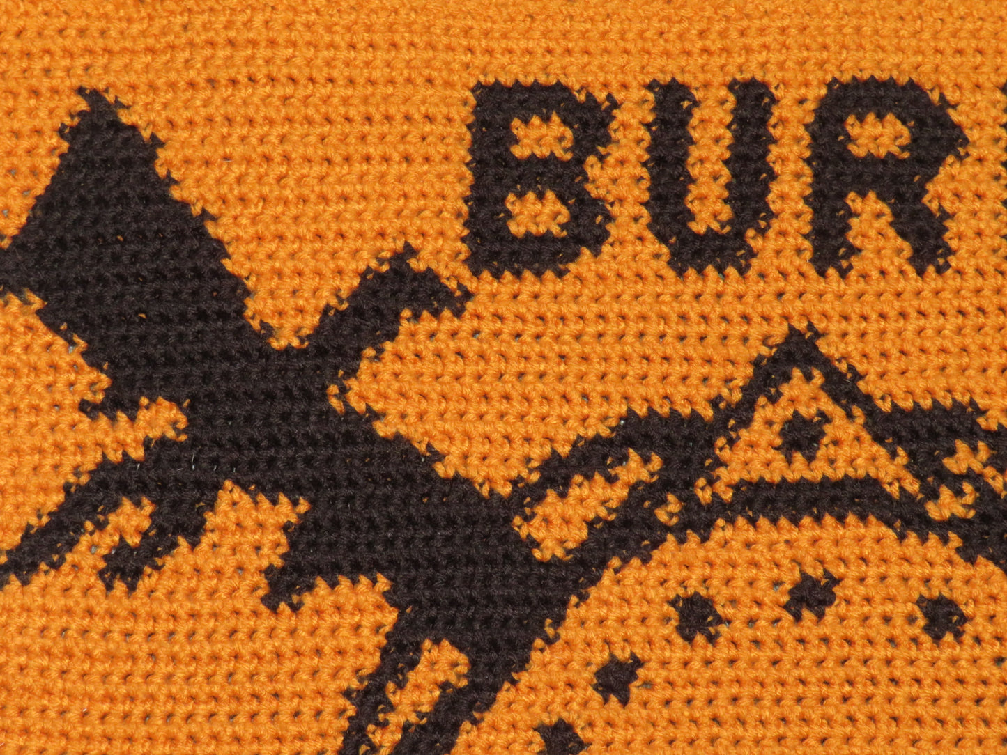 Fourth Wing Tapestry Crochet Pillow Patterns