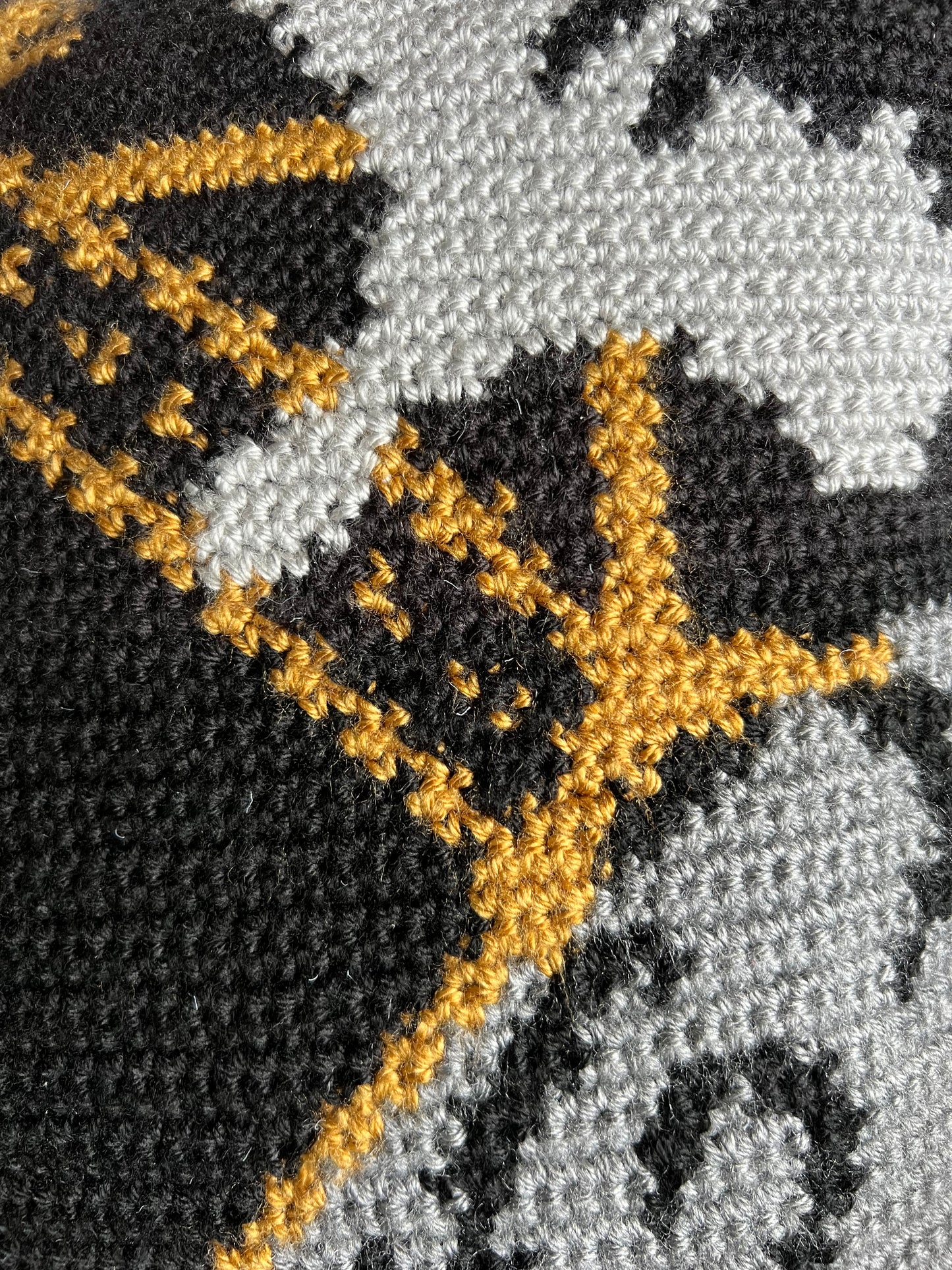 Fourth Wing Tapestry Crochet Pillow Patterns
