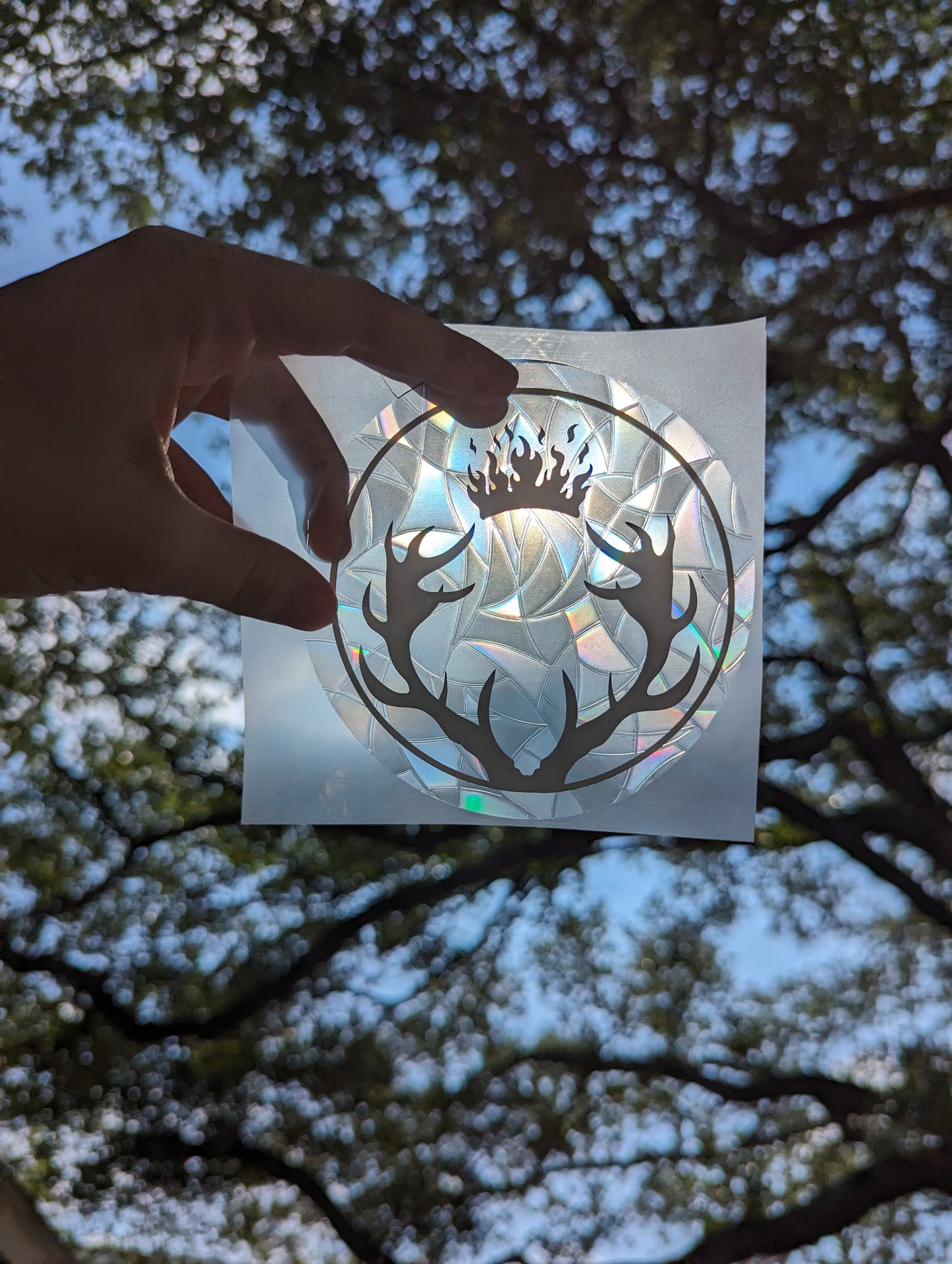 Terrasen Crest Suncatcher Decal