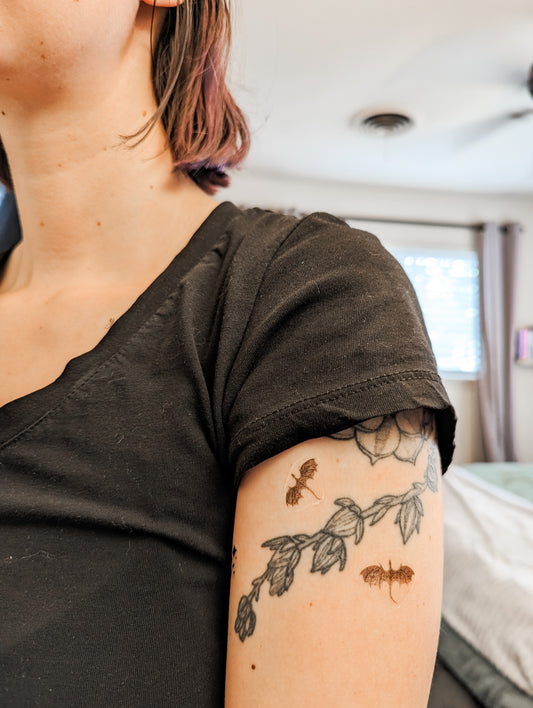 Tiny Wyverns Temporary Tattoo