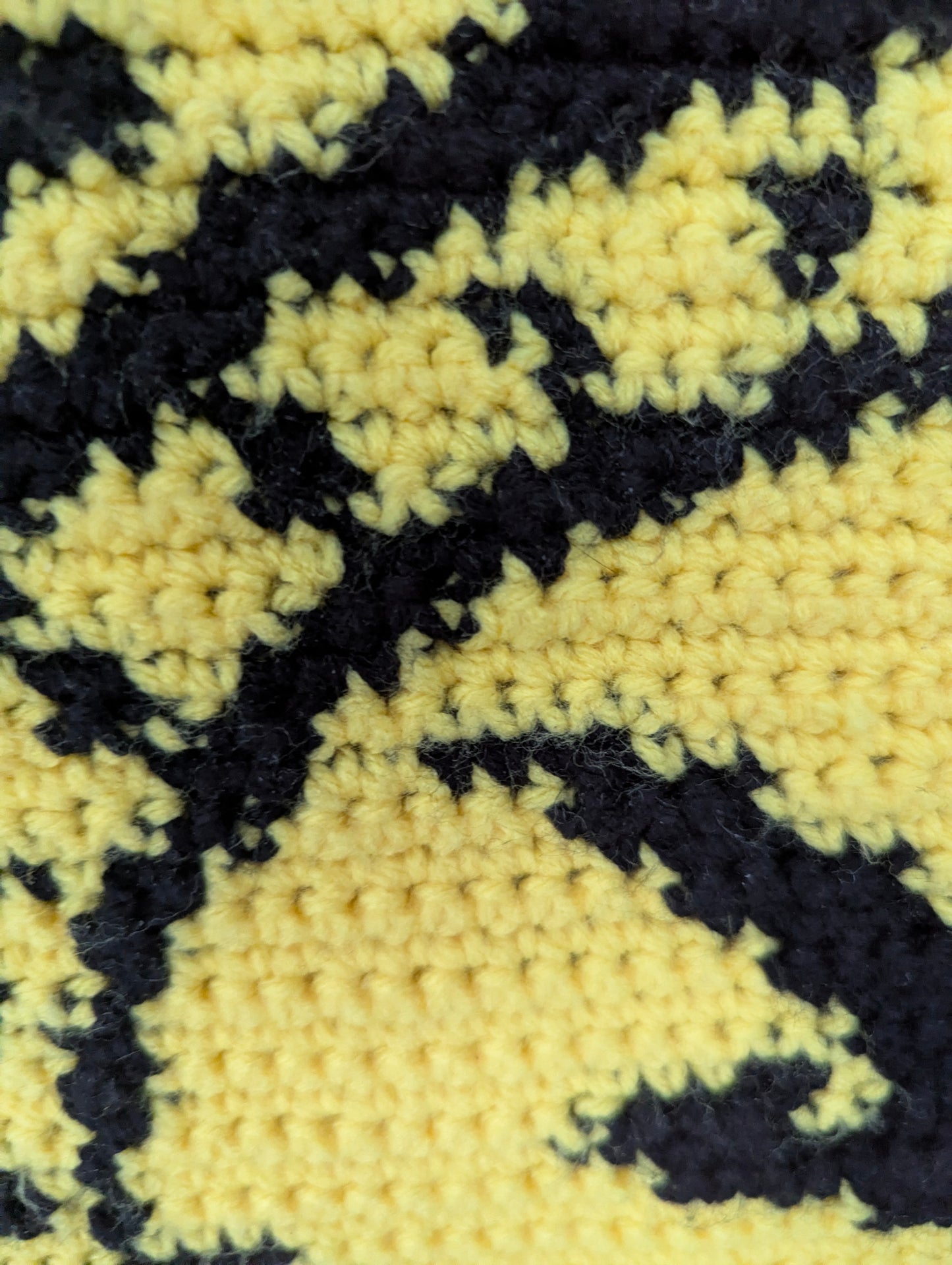 Fourth Wing Tapestry Crochet Pillow Patterns