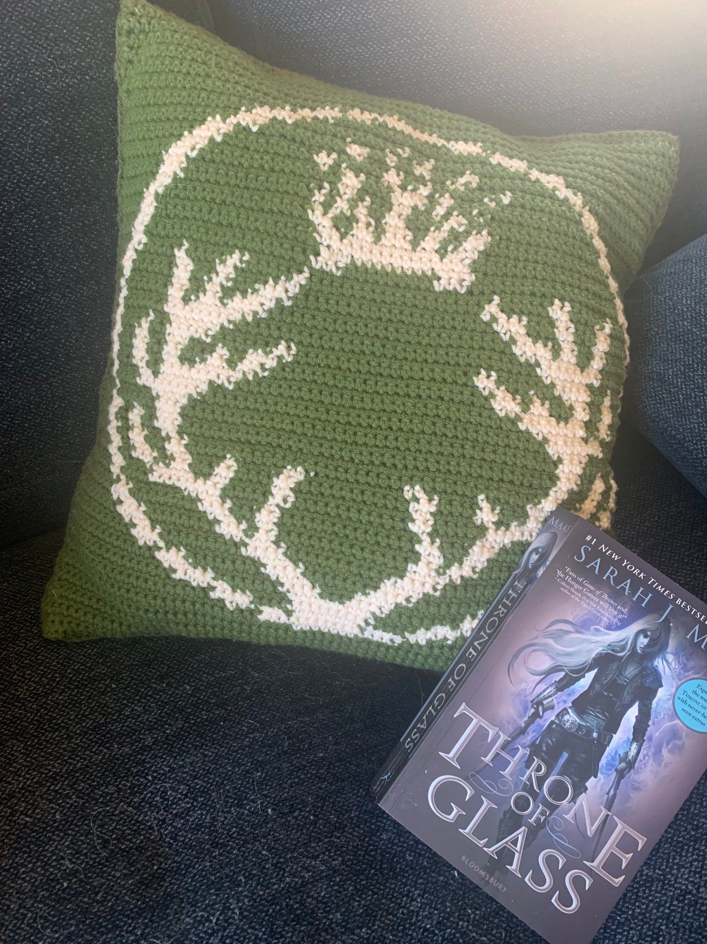 Terrasen Crest Tapestry Crochet Pillow Pattern