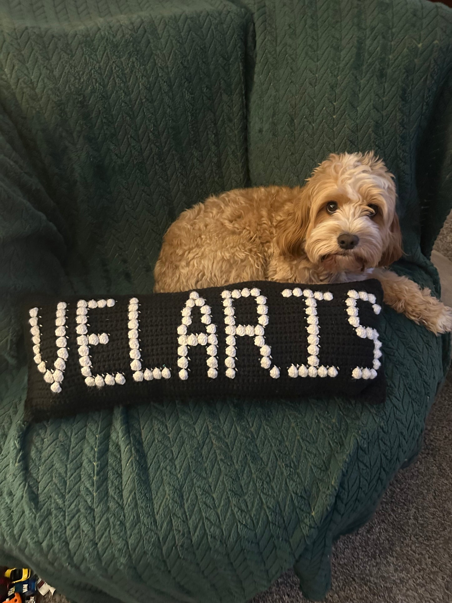 Velaris Bobble Crochet Pillow Pattern