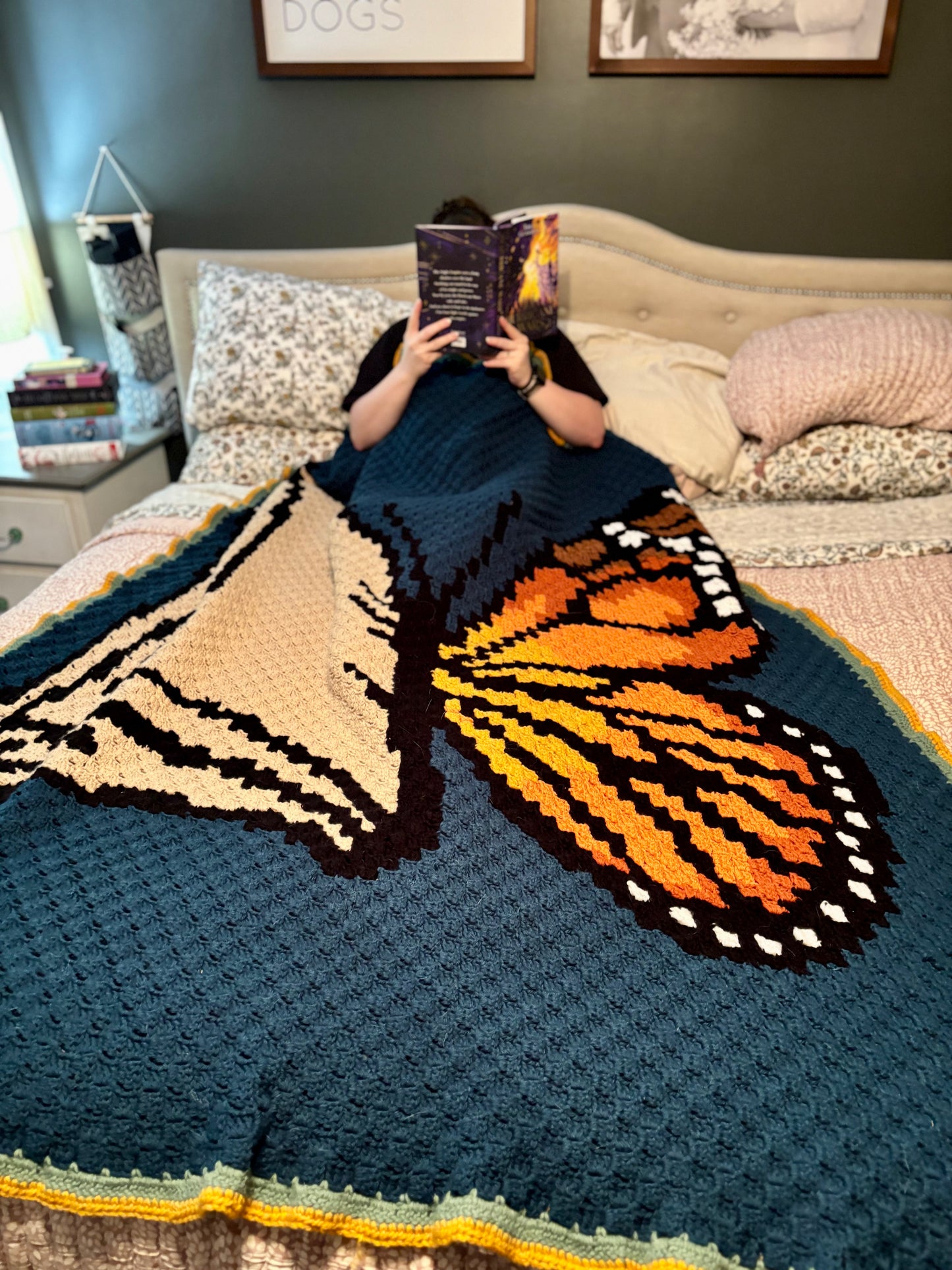 Butterfly Book C2C Crochet Graphghan Pattern