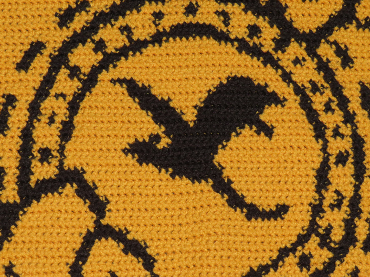 Fourth Wing Tapestry Crochet Pillow Patterns