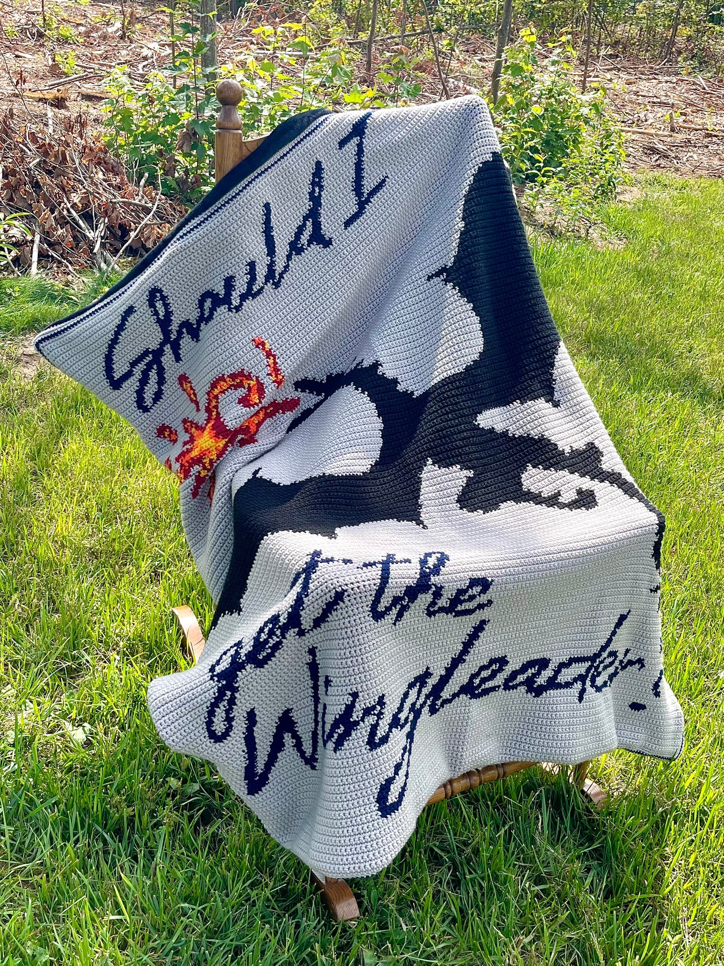 Should I Get The Wingleader? Tapestry Crochet Graphghan Pattern
