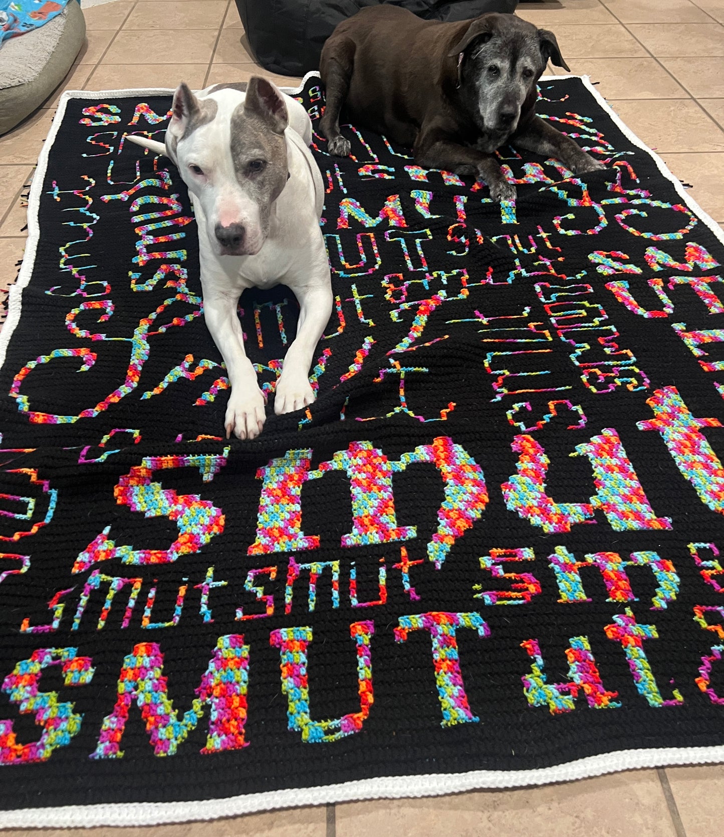 Smut Overlay Mosaic Crochet Graphghan Pattern