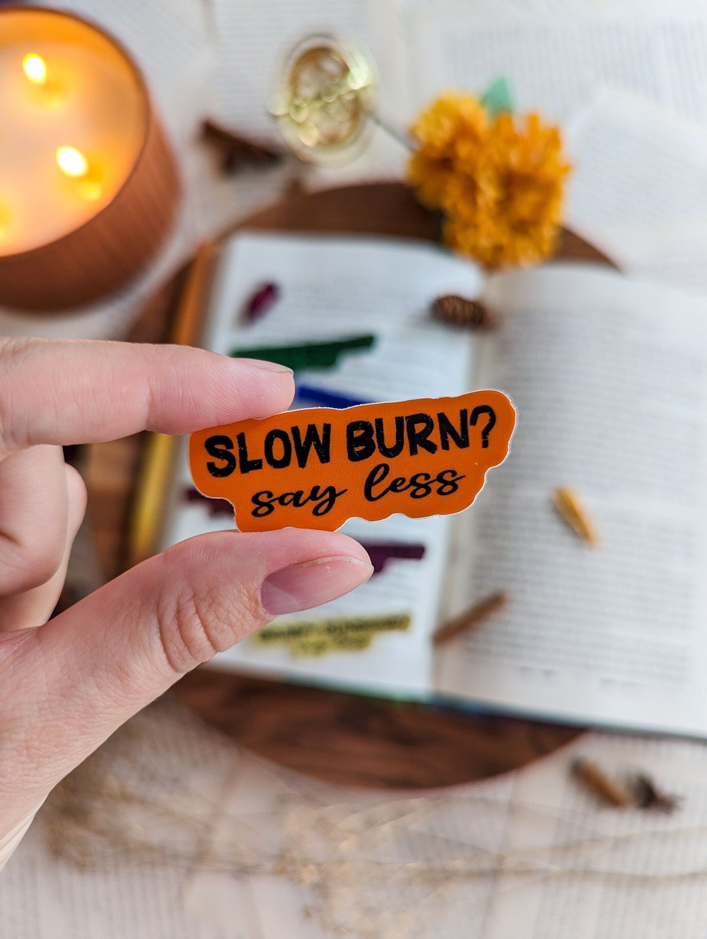 Slow Burn Trope Sticker