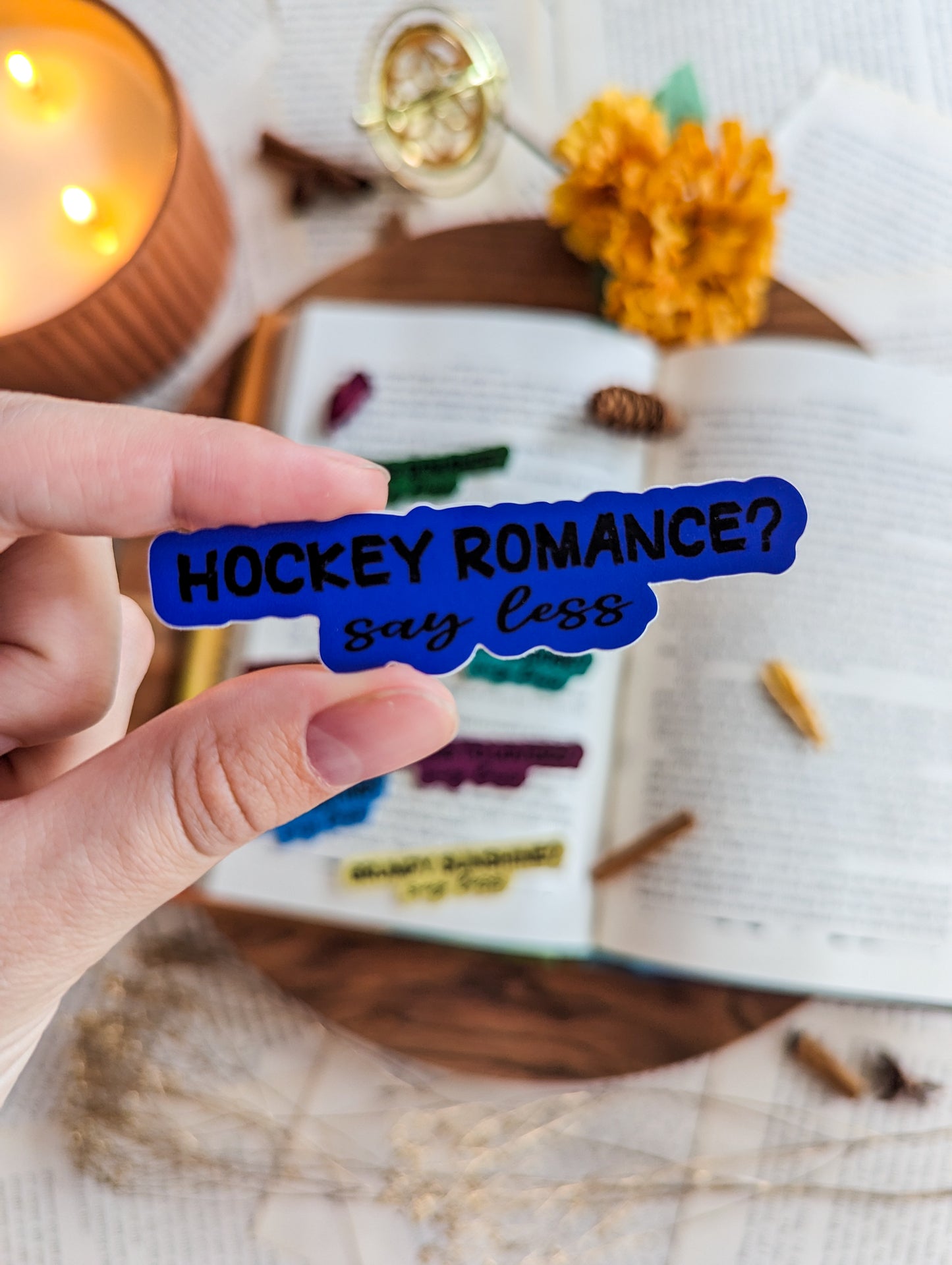 Hockey Romance Trope Sticker